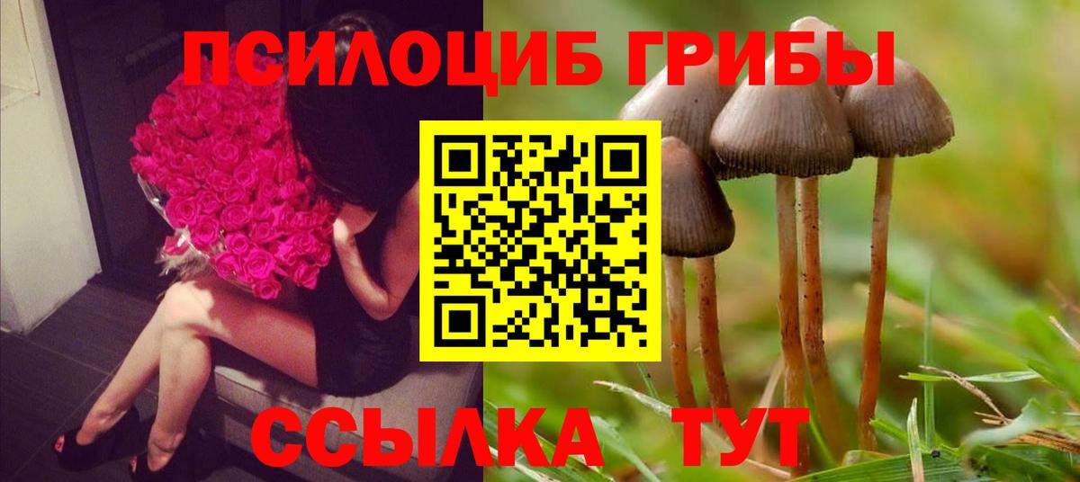 Галлюциногенные грибы мухоморы Мирный