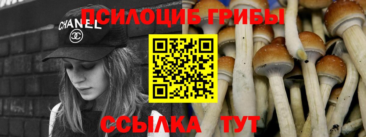Мирный  где купить   Вход с VPN  Галлюциногенные грибы ЛСД 